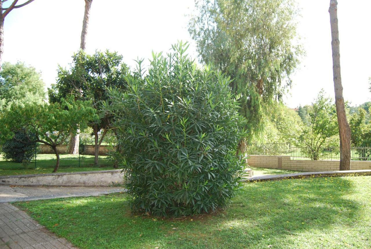 Roma Eur Bed & Breakfast Exterior photo